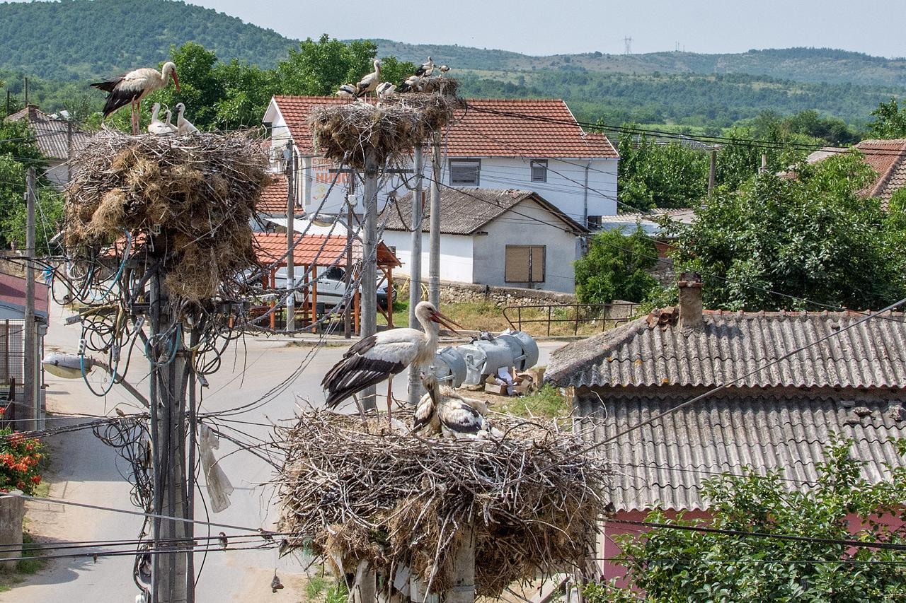 Bed & Breakfast Delikates Stojakovo Luaran gambar